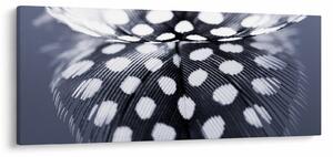 Tablou - Pană (120x50 cm)