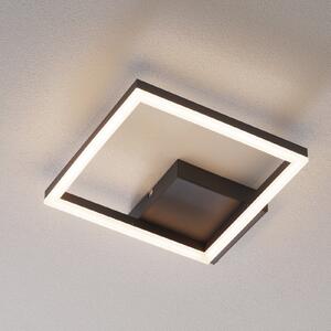 Fabas Luce Plafonieră LED Bard, 27x27 cm, antracit, reglabil, Negru, Camera de zi / sufragerie, Metal, Modern