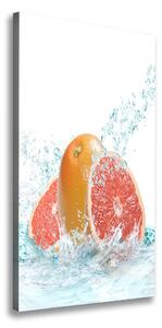 Tablou pe pânză canvas grapefruit