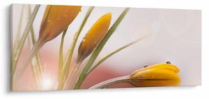 Tablou - Flori de primăvară (120x50 cm)