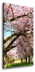Tablou canvas cires