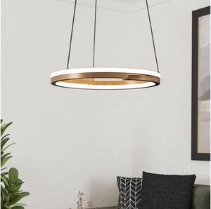 Eglo 901826 - Lustră LED dimabilă pe cablu MEZZOMONTE 2xLED/20W/230V bronz + telecomandă