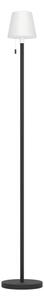 Eglo 75891 - Lampadar de exterior LED RGBW MONTAPALMA-L, cu dimmer, 2,2W/3,7V IP54