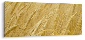 Tablou - Orz (120x50 cm)