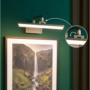 Paulmann 95569 - Lampă pentru tablouri RENAN LED/9,5W 230V 40 cm alamă