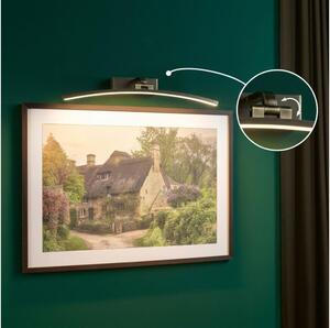 Paulmann 95561 - Lampă pentru tablouri BENTO LED/10W, 230V, 50 cm, alamă