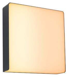 Paulmann LED cu LED-uri pentru exterior Azalena zigbee, 2200K, negru, reglabil, Negru, Aluminiu