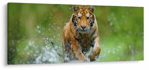 Tablou - Tigru care aleargă (120x50 cm)