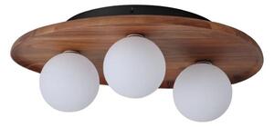 Osram - Plafonieră ACACIA NEST 3xG9/5W/230V din acacia
