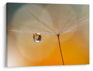 Tablou - Flori macro (70x50 cm)