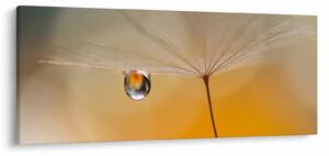 Tablou - Flori macro (120x50 cm)