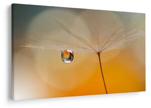 Tablou - Flori macro (90x60 cm)