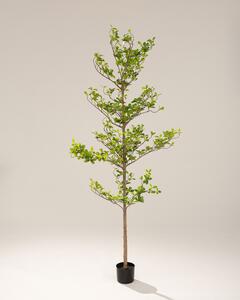 Arbore decorativ Verdis în ghiveci 200 cm