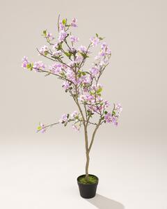 Sakura în ghiveci 130 cm
