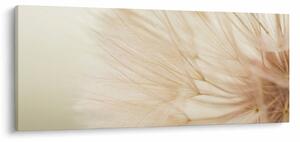 Tablou - Detaliu flori (120x50 cm)