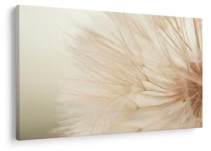 Tablou - Detaliu flori (90x60 cm)