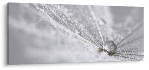 Tablou - Picătură de apă (120x50 cm)