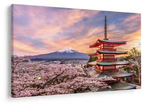 Tablou - Fuji,Japonia (90x60 cm)