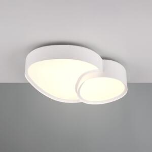Trio Lighting Plafonieră cu LED Rise, alb, 43 x 36 cm, CCT, dimabilizabilă, reglabil, Alb, Camera de zi / sufragerie, Metal, Modern