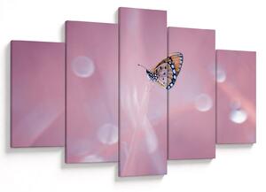 Tablou - Fluture (150x105 cm)