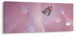 Tablou - Fluture (120x50 cm)