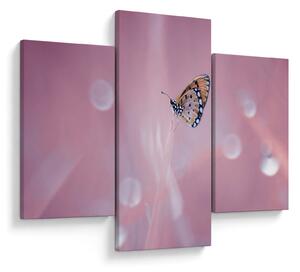 Tablou - Fluture (90x60 cm)