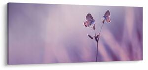 Tablou - Fluturi mov (120x50 cm)