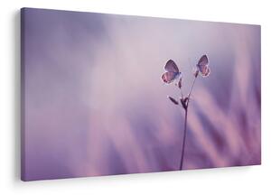 Tablou - Fluturi mov (90x60 cm)