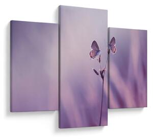 Tablou - Fluturi mov (90x60 cm)