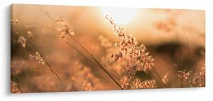 Tablou - Iarbă la soare (120x50 cm)