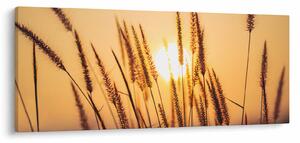 Tablou - Iarbă la soare (120x50 cm)