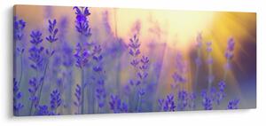 Tablou - Levănțică (120x50 cm)