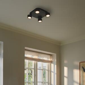 Nordlux Plafonieră cu LED Clyde, patru lumini, pătrată, neagră, reglabil, Negru, Camera de zi / sufragerie, Metal, Plafon cu flacără multiplă