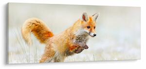 Tablou - Vulpe care sare (120x50 cm)
