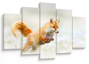 Tablou - Vulpe care sare (150x105 cm)