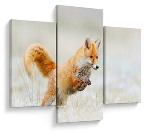 Tablou - Vulpe care sare (90x60 cm)