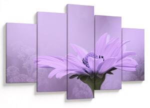 Tablou - Flori mov (150x105 cm)