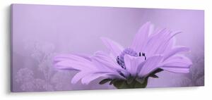 Tablou - Flori mov (120x50 cm)