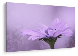 Tablou - Flori mov (90x60 cm)