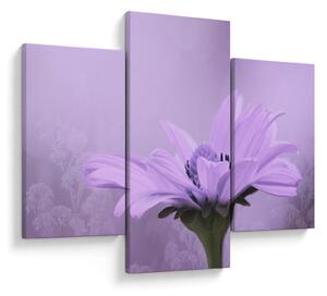 Tablou - Flori mov (90x60 cm)