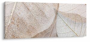 Tablou - Frunze bej (120x50 cm)
