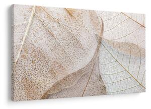 Tablou - Frunze bej (90x60 cm)