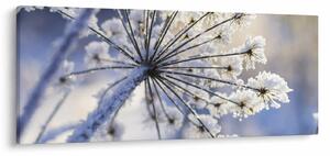 Tablou - Flori înghețate (120x50 cm)