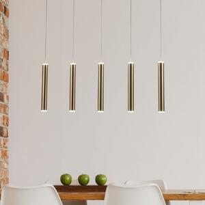Fabas Luce LED pandantiv Prado, auriu, 5 lumini, liniar, reglabil, reglabil, Auriu / Alamă, Camera de zi / sufragerie, Metal, Modern