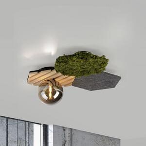 JUST LIGHT. GmbH Plafonieră Hex verde, fier, lemn, mușchi, reglabil, Lemn, Camera de zi / sufragerie, Metal