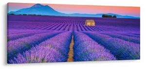 Tablou - Câmp de levănțica (120x50 cm)