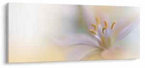 Tablou - Floare fragedă (120x50 cm)