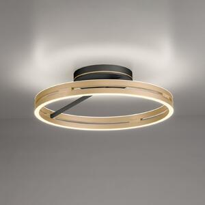PURE Plafonieră LED Loop alamă/negru metal Ø 60 cm CCT, reglabil, Auriu / Alamă, Camera de zi / sufragerie, Aluminiu, Modern, Plafon rotund direct