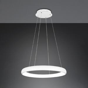 Trio Lighting Lampă suspendată cu LED Cardona, Ø 75 cm, alb, CCT, metal, reglabil, Alb, Camera de zi / sufragerie, Metal, Modern
