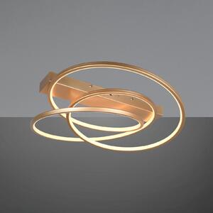 Trio Lighting Plafonieră Darvin LED, culoare aurie, metal, plastic CCT, reglabil, Auriu / Alamă, Camera de zi / sufragerie, Metal, Modern